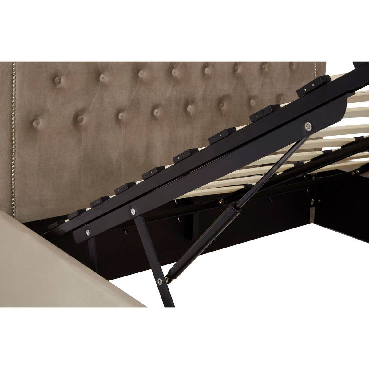 Hannah Mink Velvet Double Ottoman Bed.