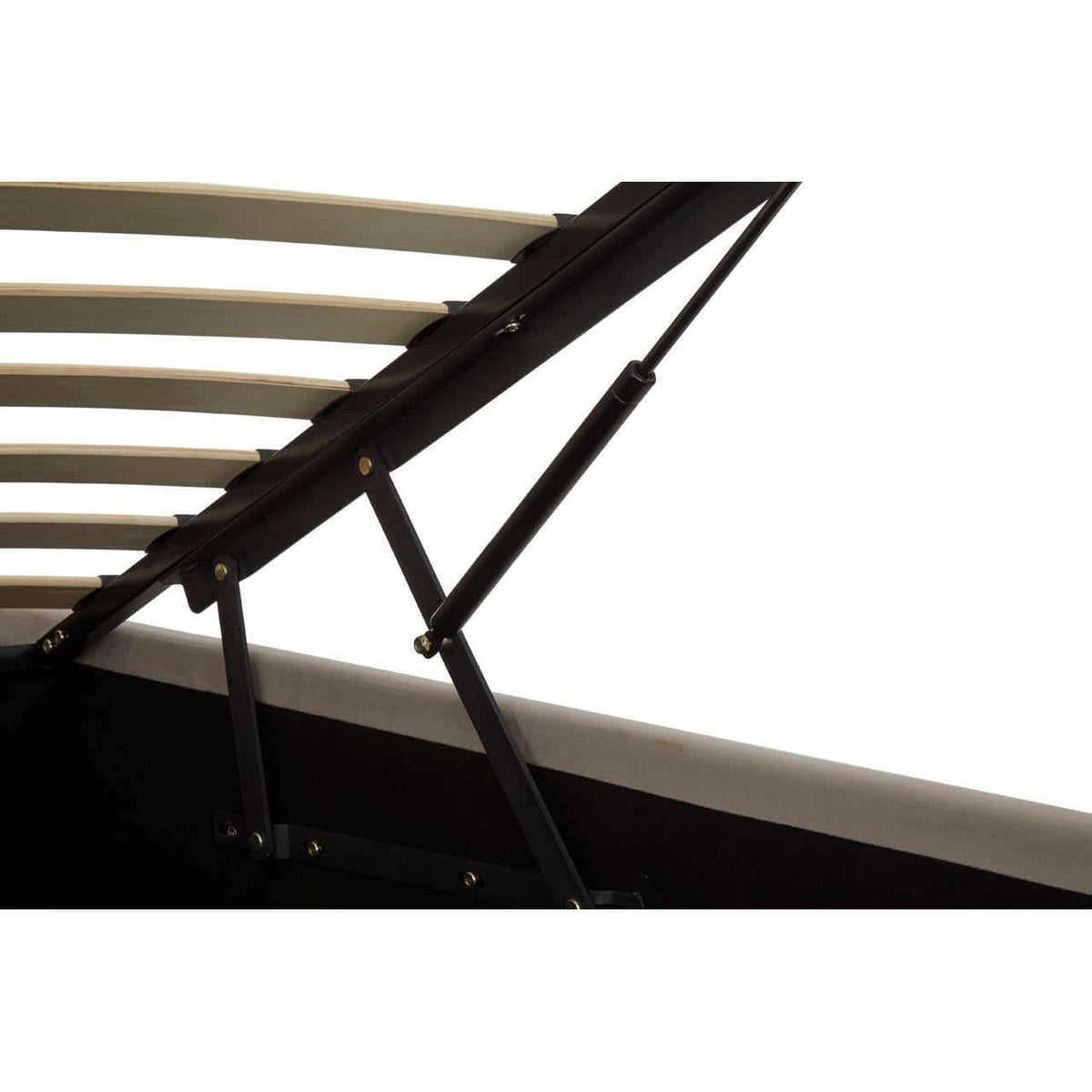 Hannah Mink Velvet Double Ottoman Bed.