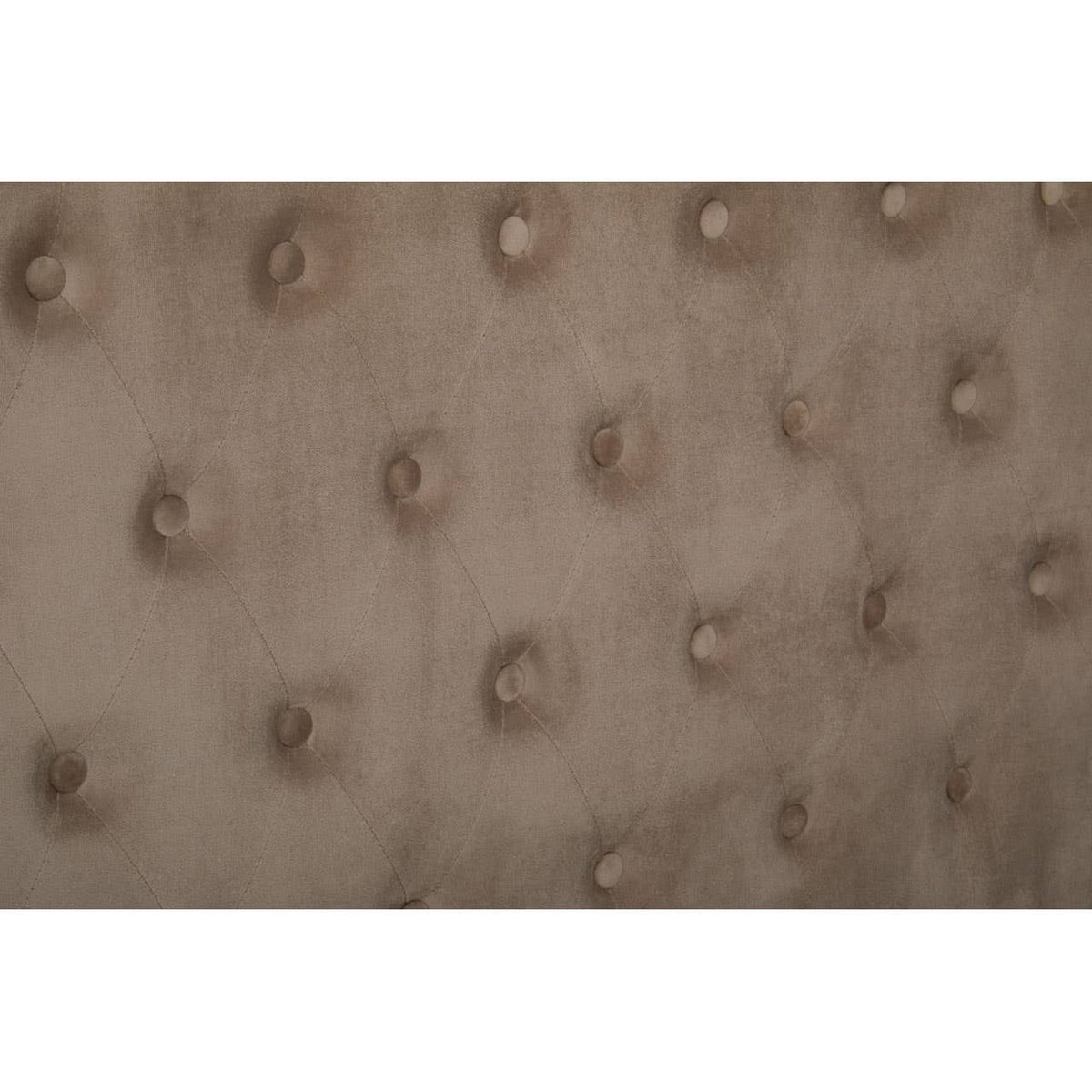 Hannah Mink Velvet Double Ottoman Bed.