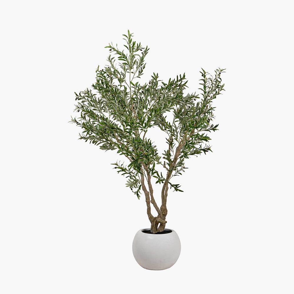 Pacific Lifestyle Accessories Extra Large Olive Tree in Pot House of Isabella UK