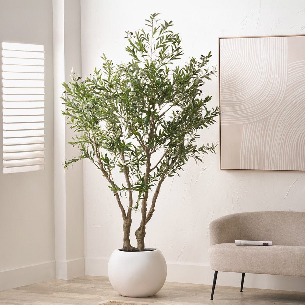 Pacific Lifestyle Accessories Extra Large Olive Tree in Pot House of Isabella UK