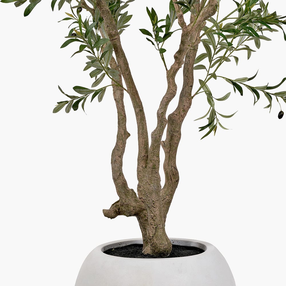 Pacific Lifestyle Accessories Extra Large Olive Tree in Pot House of Isabella UK