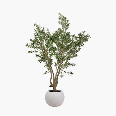 Pacific Lifestyle Accessories Extra Large Olive Tree in Pot House of Isabella UK