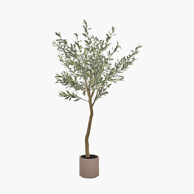 Pacific Lifestyle Accessories Large Olive Tree in Pot House of Isabella UK