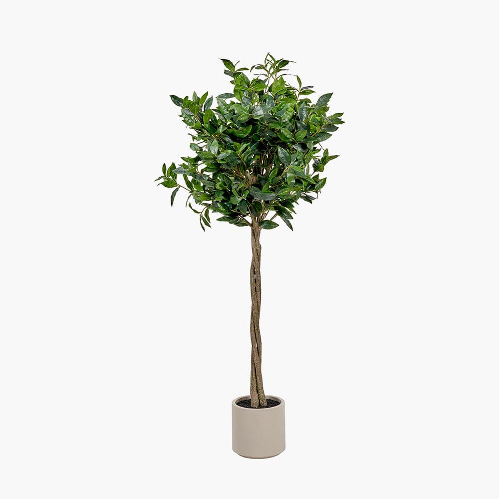 Pacific Lifestyle Accessories Medium Bay Tree in Pot House of Isabella UK