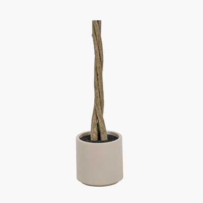 Pacific Lifestyle Accessories Medium Bay Tree in Pot House of Isabella UK