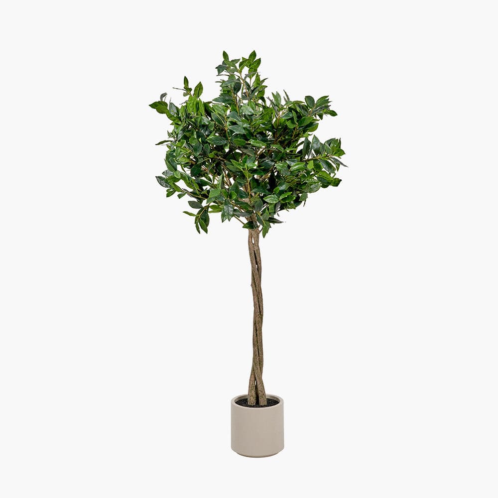 Pacific Lifestyle Accessories Medium Bay Tree in Pot House of Isabella UK