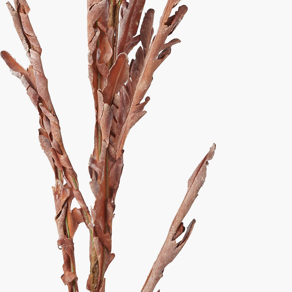 Mulberry Brown Autumn Leaf Pack of 6.