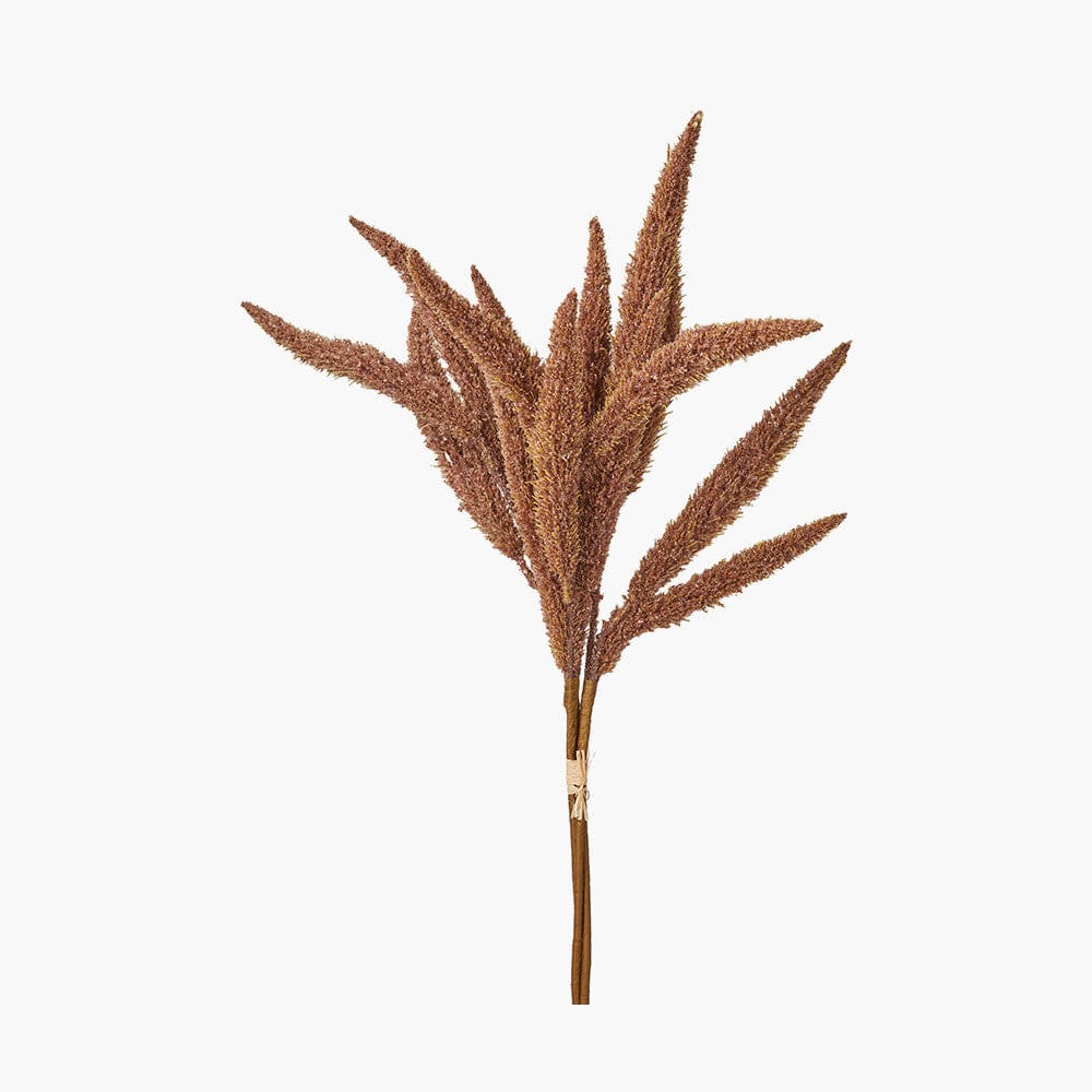 Mulberry Brown Dried Flower Bunch.