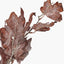 Mulberry Brown Maple Leaf Pack of 6.