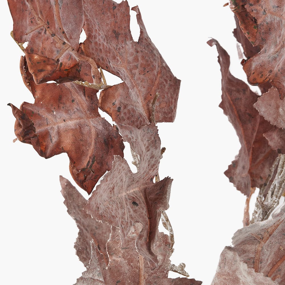 Mulberry Brown Maple Leaf Pack of 6.