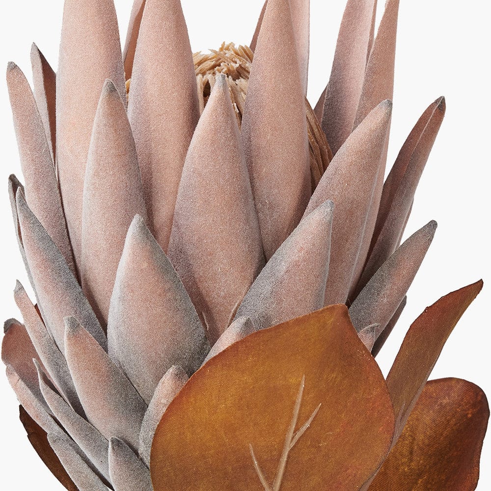 Pacific Lifestyle Accessories Mulberry Brown Protea Pack of 6 House of Isabella UK