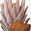 Pacific Lifestyle Accessories Mulberry Brown Protea Pack of 6 House of Isabella UK