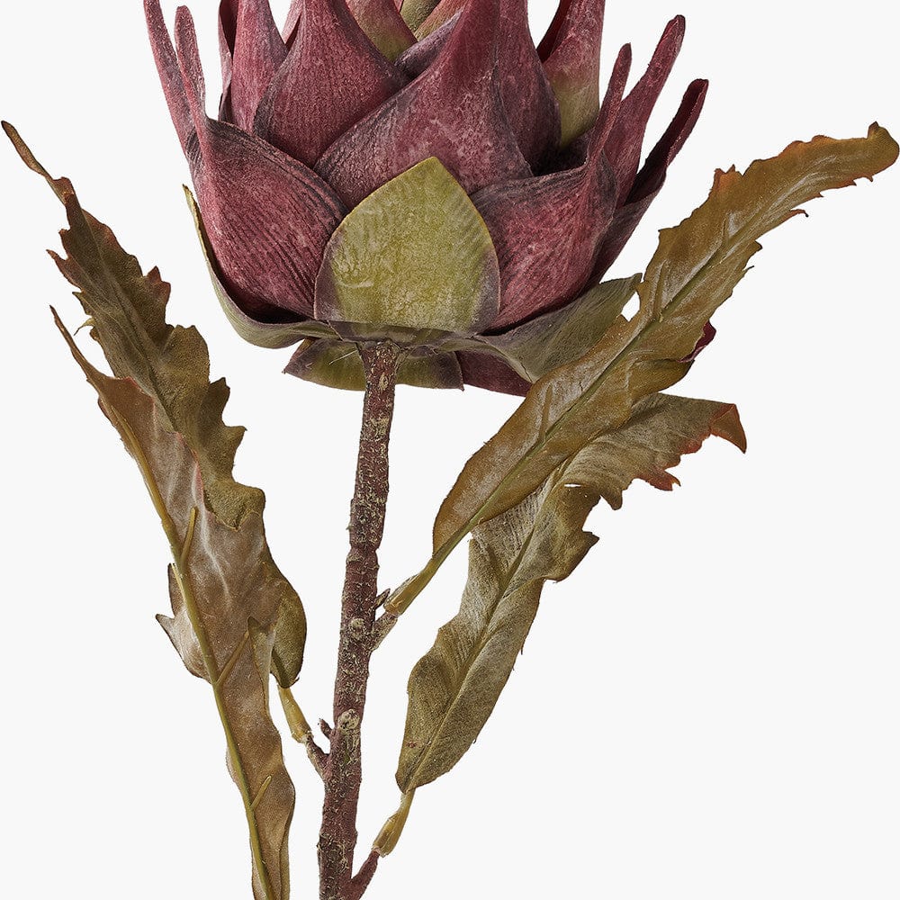 Pacific Lifestyle Accessories Mulberry Lotus Pack of 6 House of Isabella UK