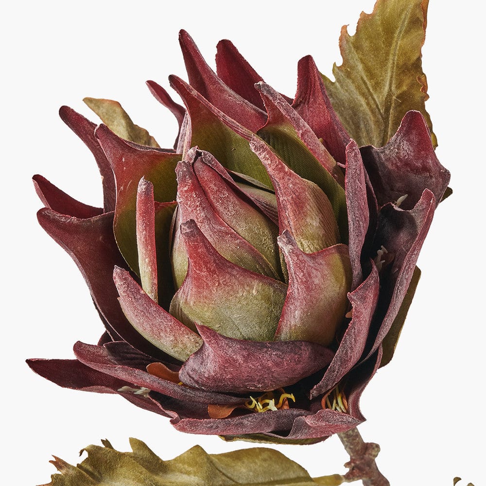 Pacific Lifestyle Accessories Mulberry Lotus Pack of 6 House of Isabella UK