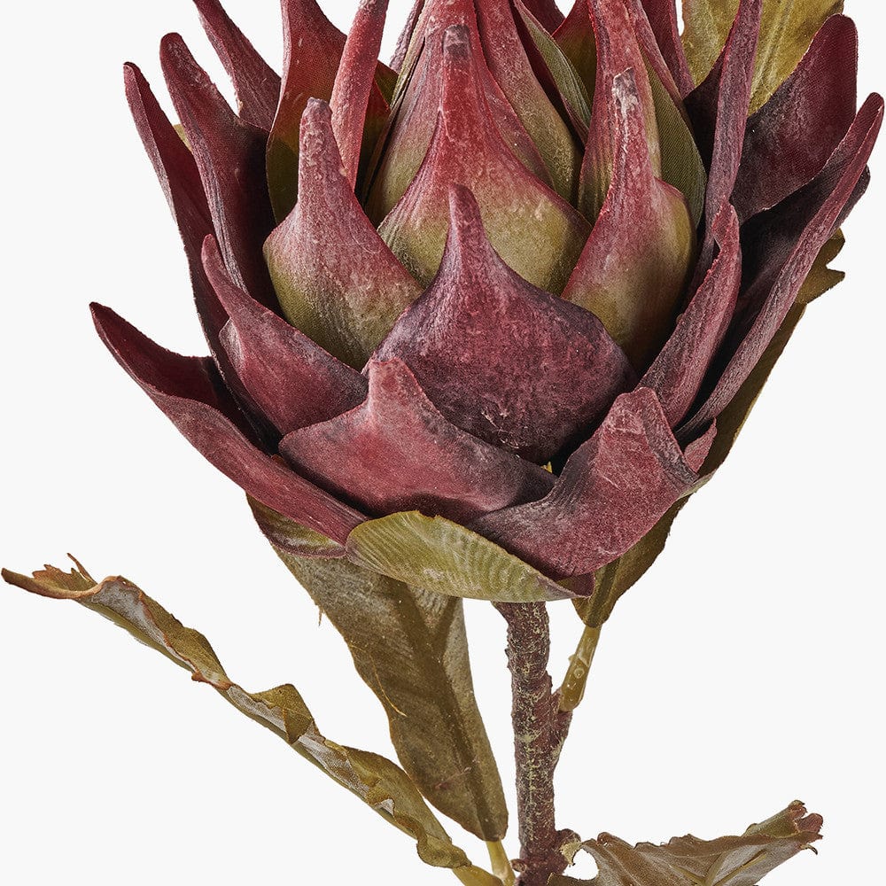 Pacific Lifestyle Accessories Mulberry Lotus Pack of 6 House of Isabella UK