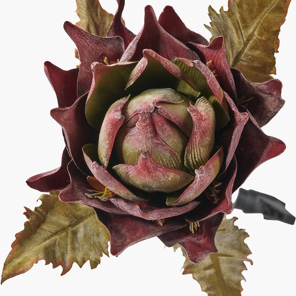 Pacific Lifestyle Accessories Mulberry Lotus Pack of 6 House of Isabella UK