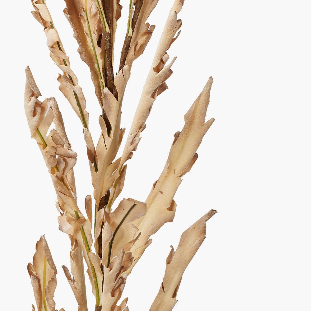 Natural Apricot Autumn Leaf Pack of 6.