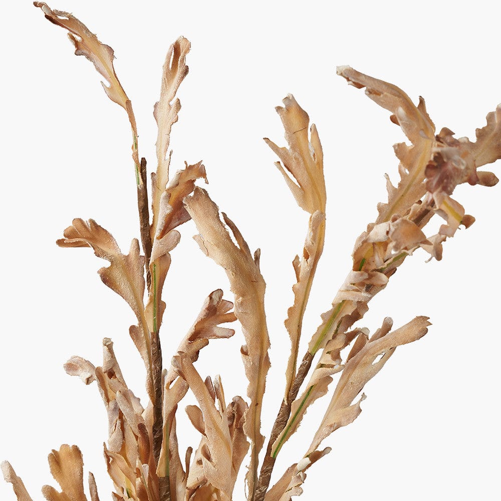 Natural Apricot Autumn Leaf Pack of 6.