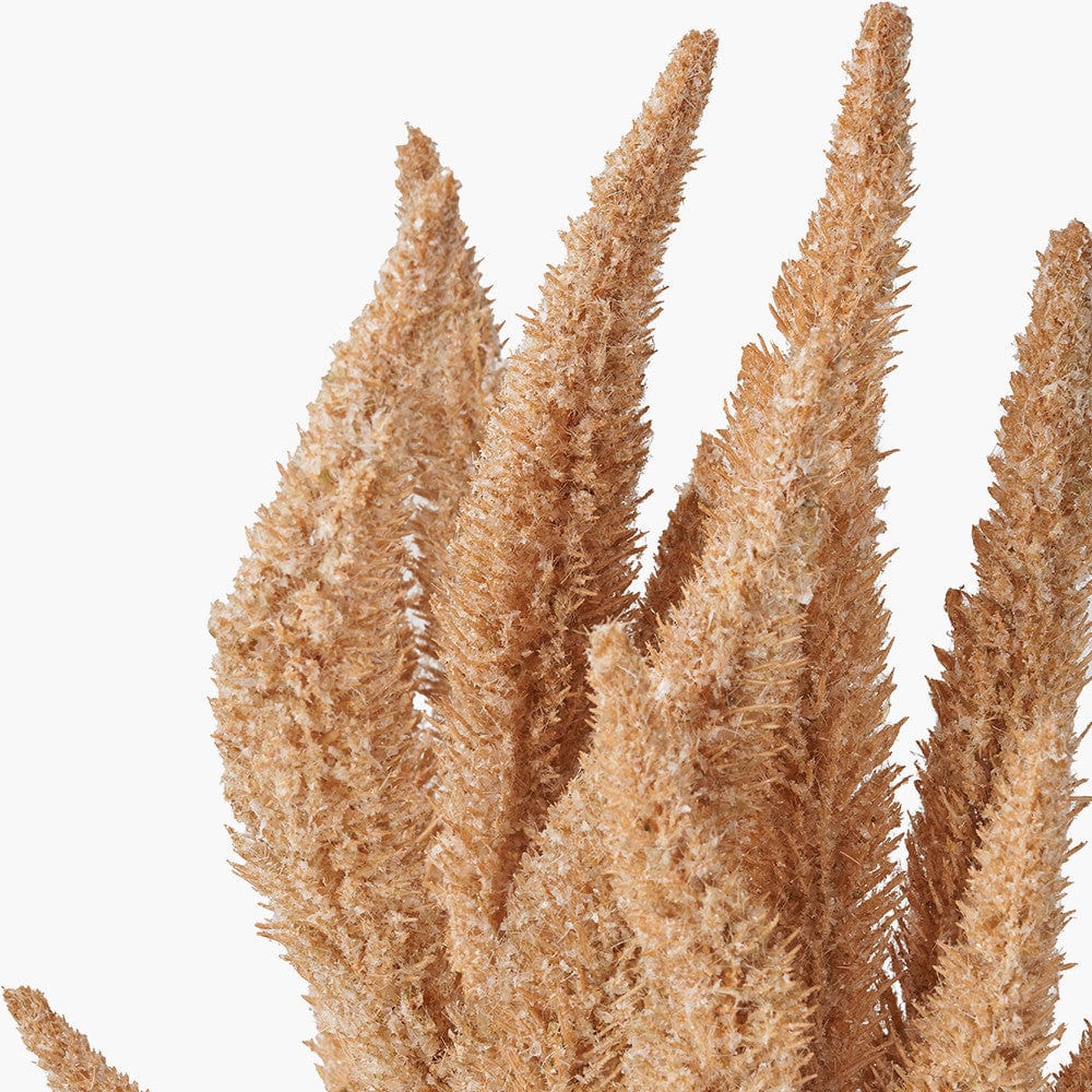 Natural Apricot Dried Flower Bunch.