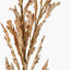 Natural Apricot Dried Flower Bunch.