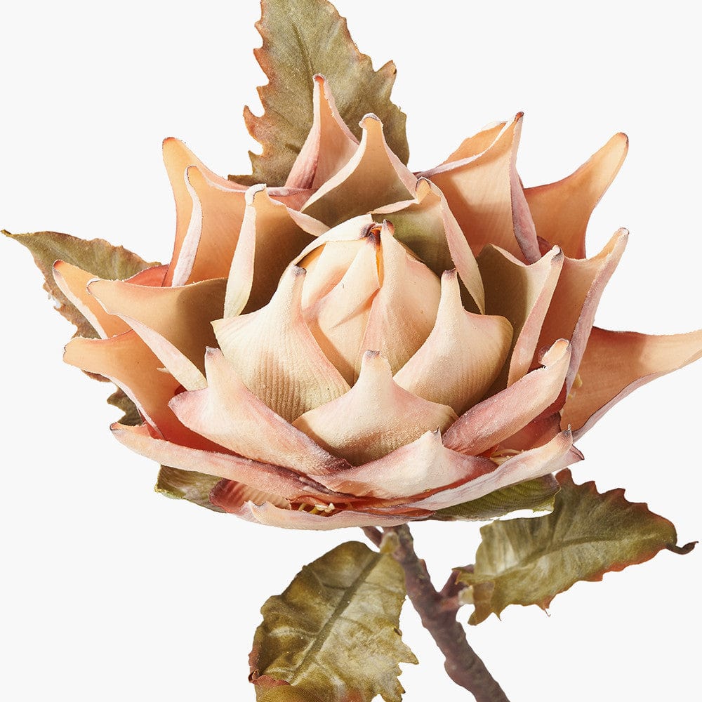 Natural Apricot Dried Flower Bunch.