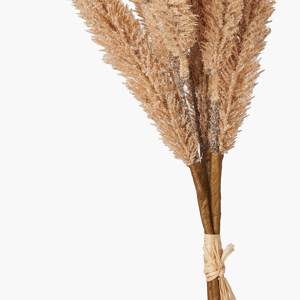 Natural Apricot Foxtail Hand-Tied 3 Stem Bundle Pack of 6.