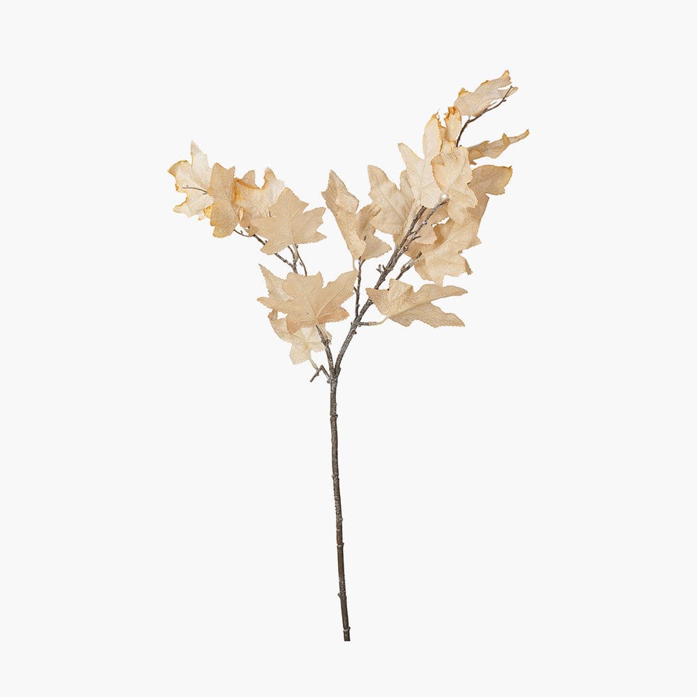 Natural Apricot Maple Leaf Pack of 6.
