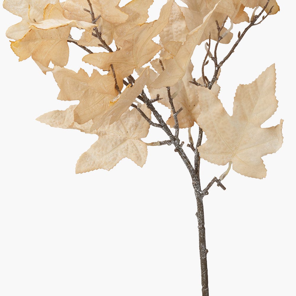 Natural Apricot Maple Leaf Pack of 6.