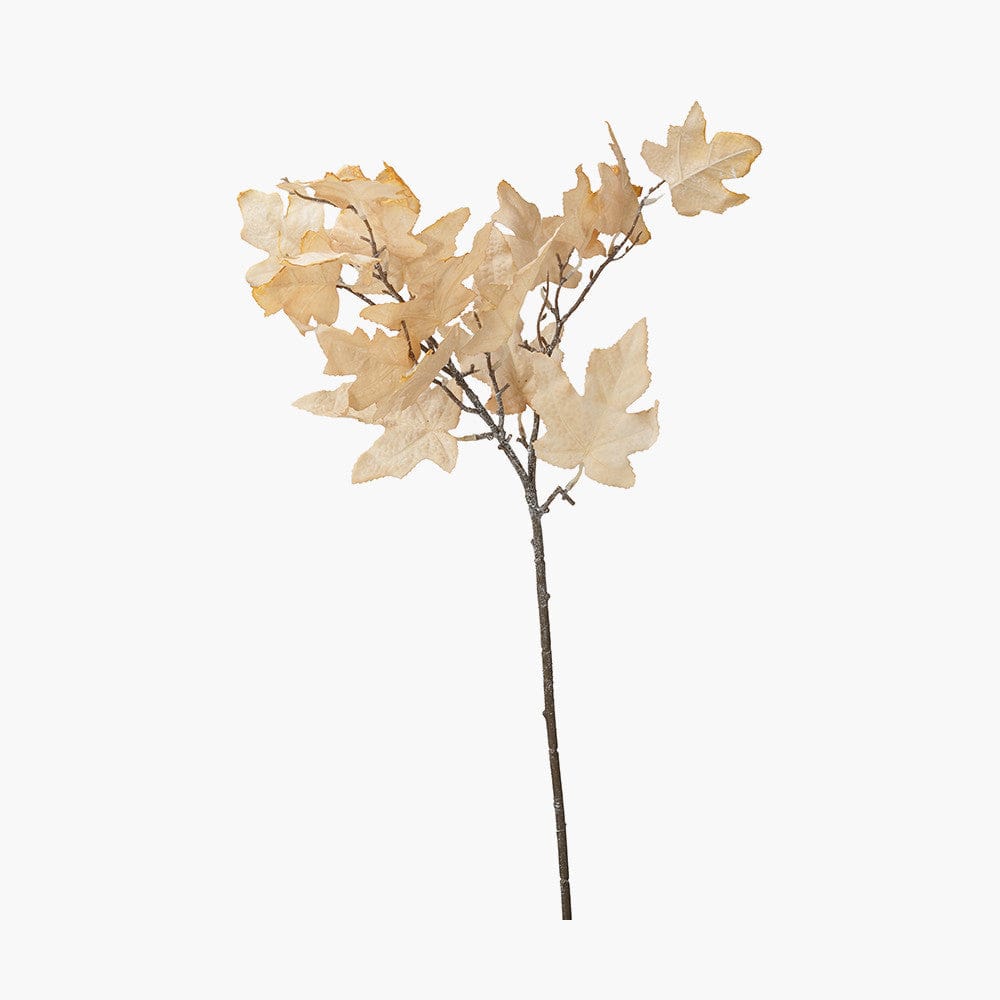 Natural Apricot Maple Leaf Pack of 6.