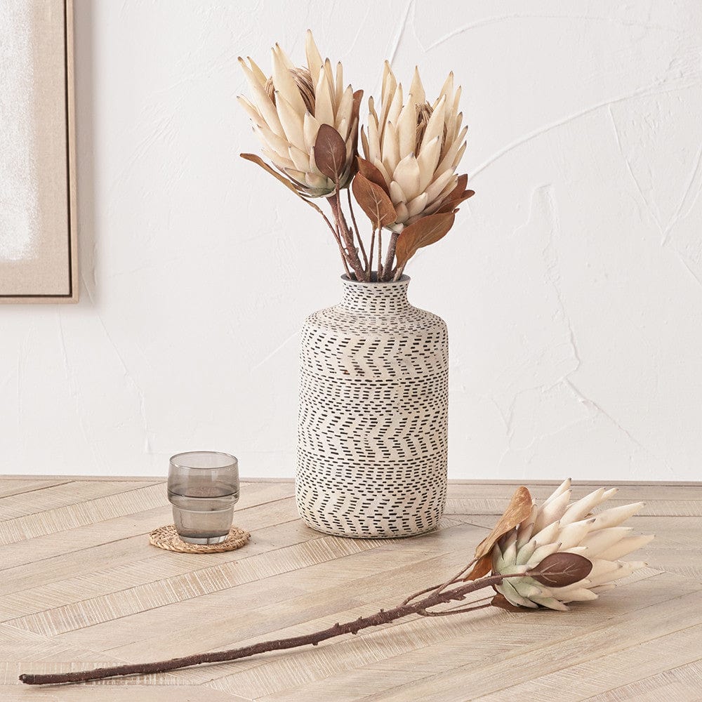 Natural Apricot Protea Pack of 6.