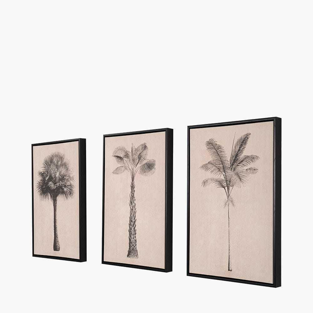 S/3 Natural and Black Palm Tree Print Canvases with Black Frames.