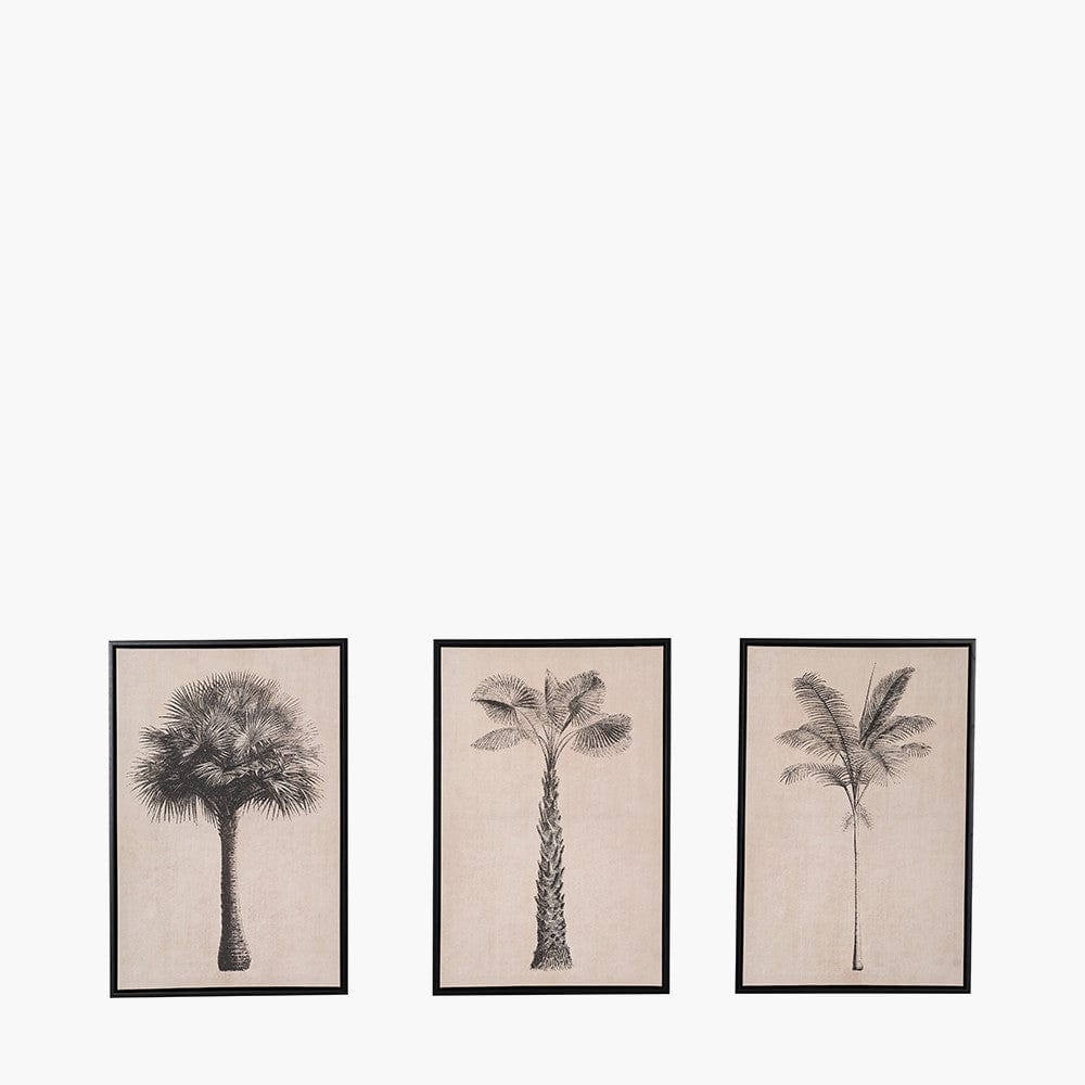 S/3 Natural and Black Palm Tree Print Canvases with Black Frames.