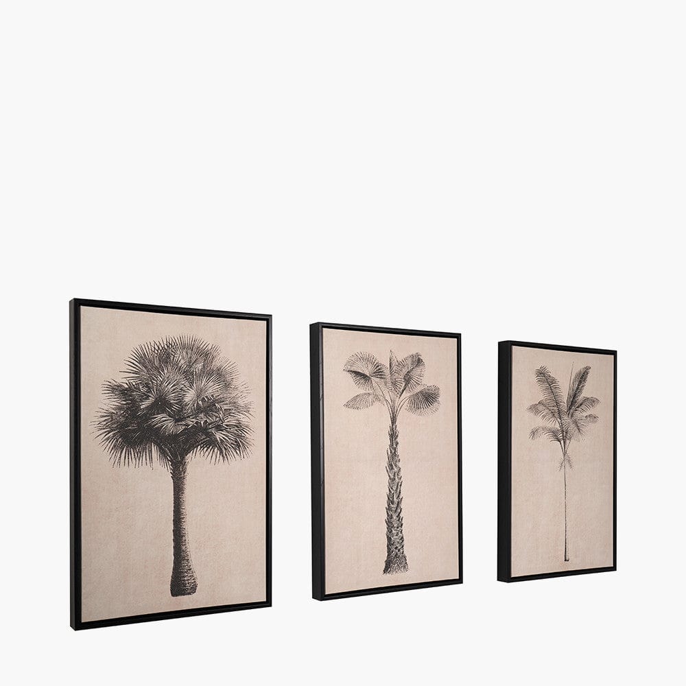 S/3 Natural and Black Palm Tree Print Canvases with Black Frames.