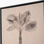 S/3 Natural and Black Palm Tree Print Canvases with Black Frames.