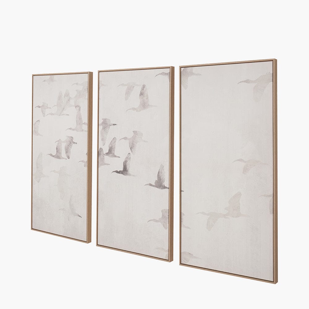 Pacific Lifestyle Accessories S/3 Natural and White Birds Canvases with Natural Frames House of Isabella UK