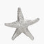 Pacific Lifestyle Accessories Silver Metal Starfish Ornament House of Isabella UK
