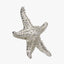 Pacific Lifestyle Accessories Silver Metal Starfish Ornament House of Isabella UK