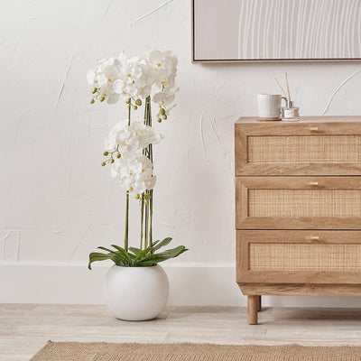 Pacific Lifestyle Accessories Tall White Orchid in Pot House of Isabella UK