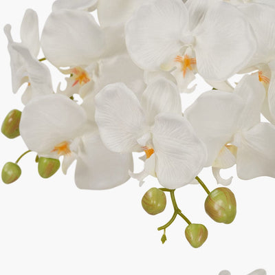 Pacific Lifestyle Accessories Tall White Orchid in Pot House of Isabella UK