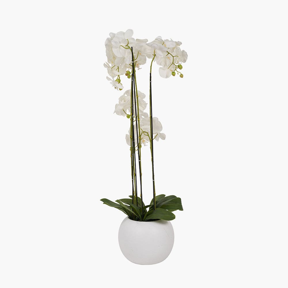 Pacific Lifestyle Accessories Tall White Orchid in Pot House of Isabella UK