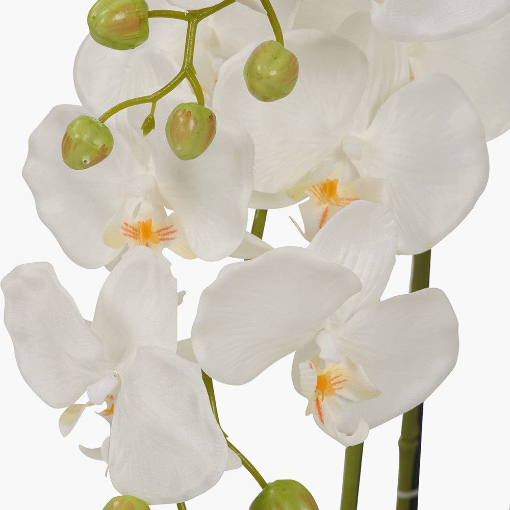 Pacific Lifestyle Accessories Tall White Orchid in Pot House of Isabella UK