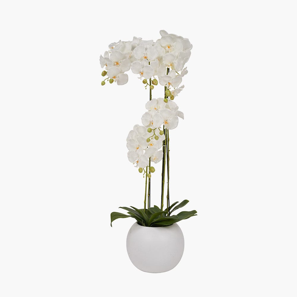 Pacific Lifestyle Accessories Tall White Orchid in Pot House of Isabella UK