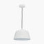 Pacific Lifestyle Lighting Amalie Grey Metal Retro Pendant House of Isabella UK
