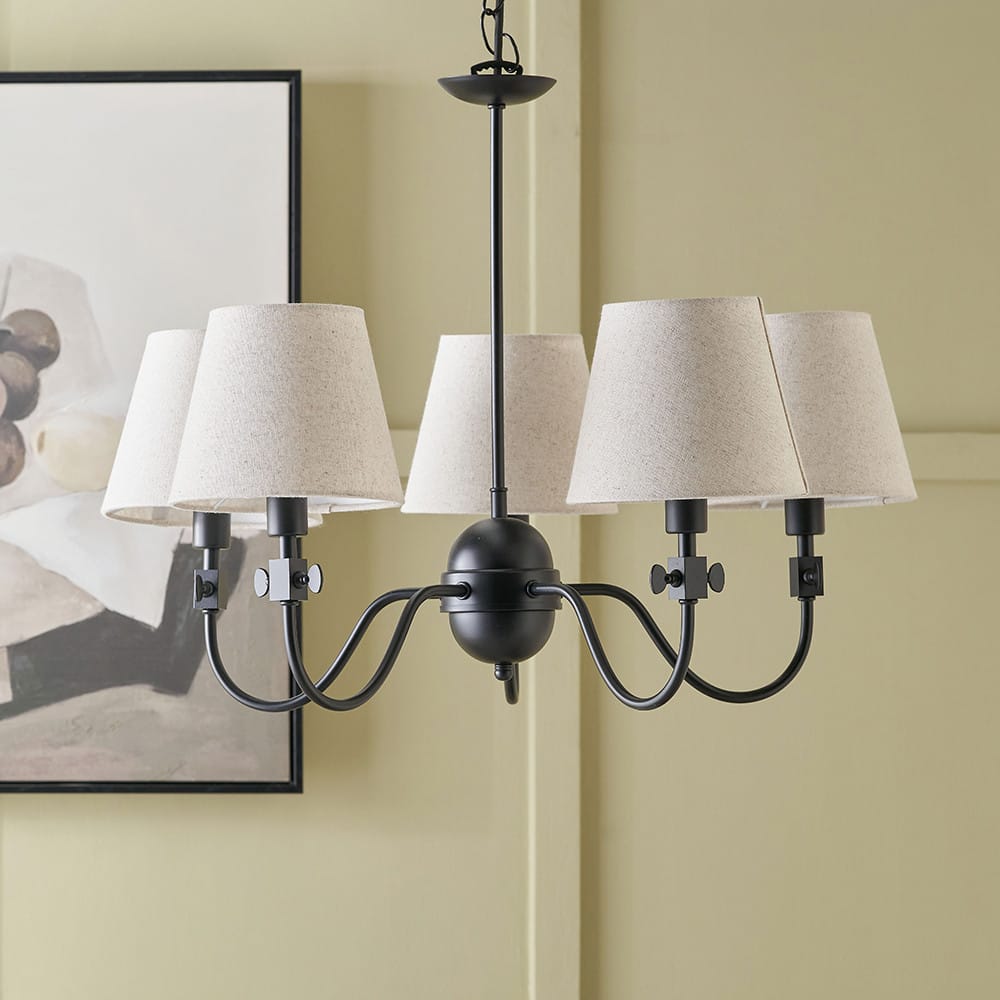 Pacific Lifestyle Lighting Ari Black Metal Curved 5 Arm Pendant House of Isabella UK