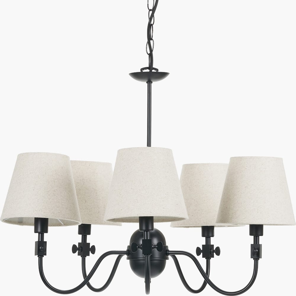 Pacific Lifestyle Lighting Ari Black Metal Curved 5 Arm Pendant House of Isabella UK