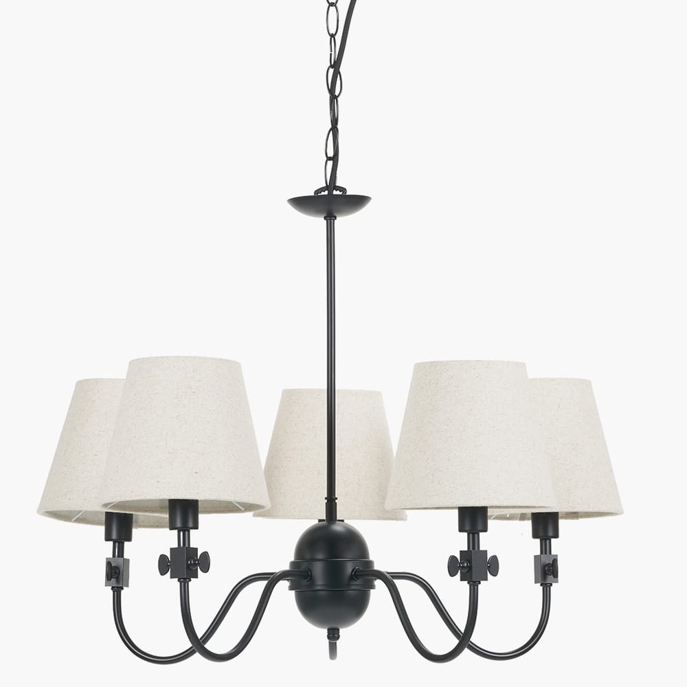 Pacific Lifestyle Lighting Ari Black Metal Curved 5 Arm Pendant House of Isabella UK