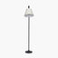Pacific Lifestyle Lighting Ari Black Metal Curved Arm Floor Lamp House of Isabella UK