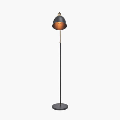 Pacific Lifestyle Lighting Augusto Black and Gold Task Floor Lamp House of Isabella UK