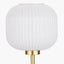 Bella White Ribbed Glass and Gold Metal Squoval Table Lamp.
